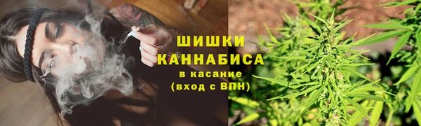 амф Козловка