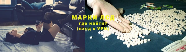 амф Козловка