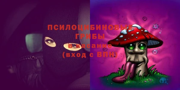 амф Козловка