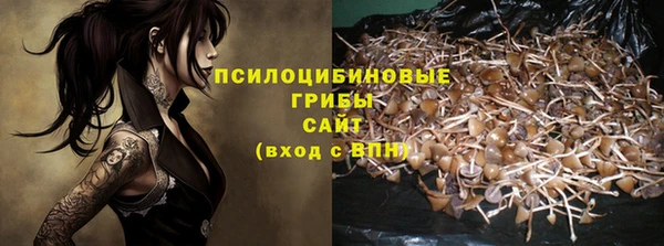 герыч Козельск