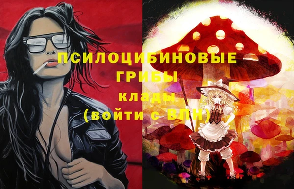 дживик Кодинск